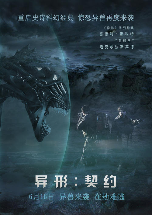 高仿的假驾照多少钱
